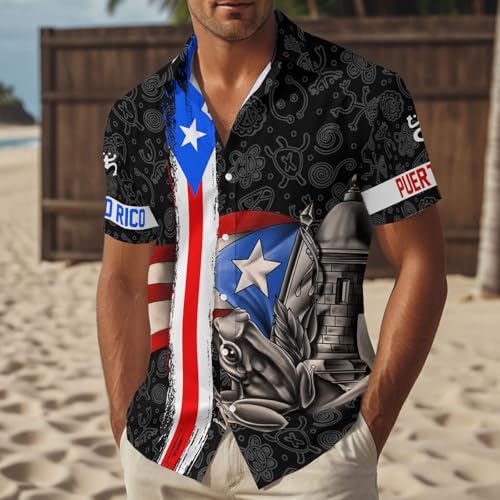 Men's Hawaiian Shirt Button Down Short Sleeve Casual Beachwear Novelty Print Shirt